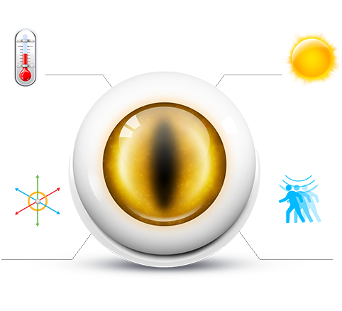 Multisensor